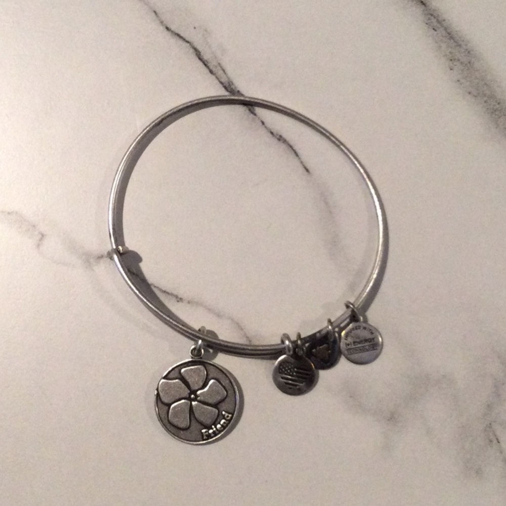 Alex and Ani Silver Bangle Cham Bracelet.